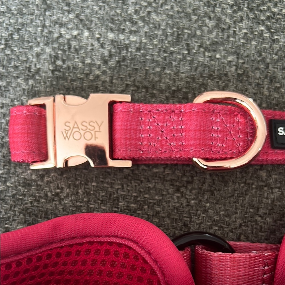 Sassy Woof Red Dog Walking Set - brand new never worn! - Picture 4 of 5